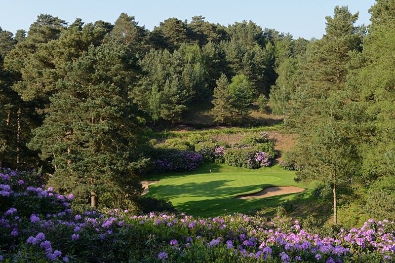 woburn dukes rhodo